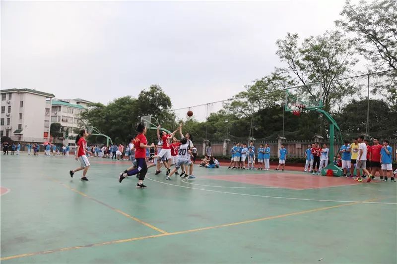 桂林篮球组队比赛规则是什么_桂林组队篮球规则比赛是几号球_桂林篮球
