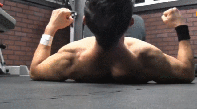 背部健身房锻炼动作_健身房背部训练_背部房健身训练方法