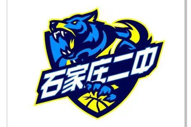 篮球赛冠军奖励_篮球联赛奖项设置_高中篮球联赛冠军奖金
