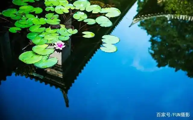 简单生活小窍门100妙招_生活中的一些简单小技巧_简单又实用的生活小妙招十条