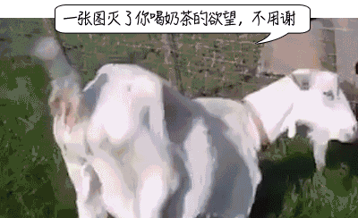 小海有氧运动_小海有氧运动_小海有氧运动